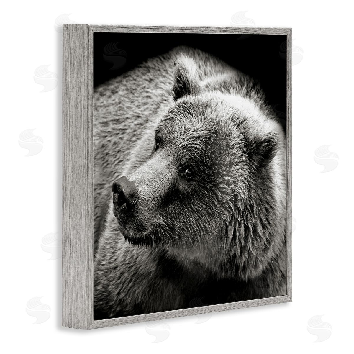 Bear Looking Left Grey Frame Print Wall Art, Home Decor by Kathy Mansfield