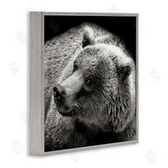 Kathy Mansfield | Bear Looking Left