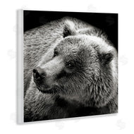 Kathy Mansfield | Bear Looking Left