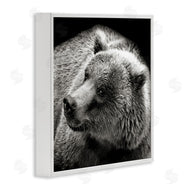 Kathy Mansfield | Bear Looking Left