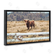 Gail Peck | Country Cattle with Fence