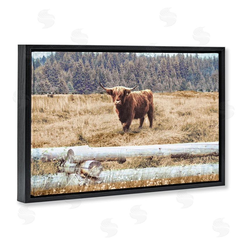 Gail Peck | Country Cattle with Fence