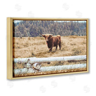 Gail Peck | Country Cattle with Fence