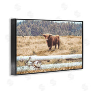 Gail Peck | Country Cattle with Fence