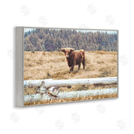 Gail Peck | Country Cattle with Fence