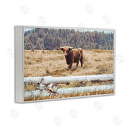 Gail Peck | Country Cattle with Fence