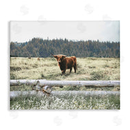 Gail Peck | Cattle Overlooking Fence