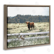 Gail Peck | Cattle Overlooking Fence