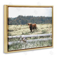 Gail Peck | Cattle Overlooking Fence