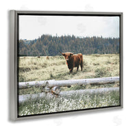 Gail Peck | Cattle Overlooking Fence