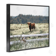 Gail Peck | Cattle Overlooking Fence