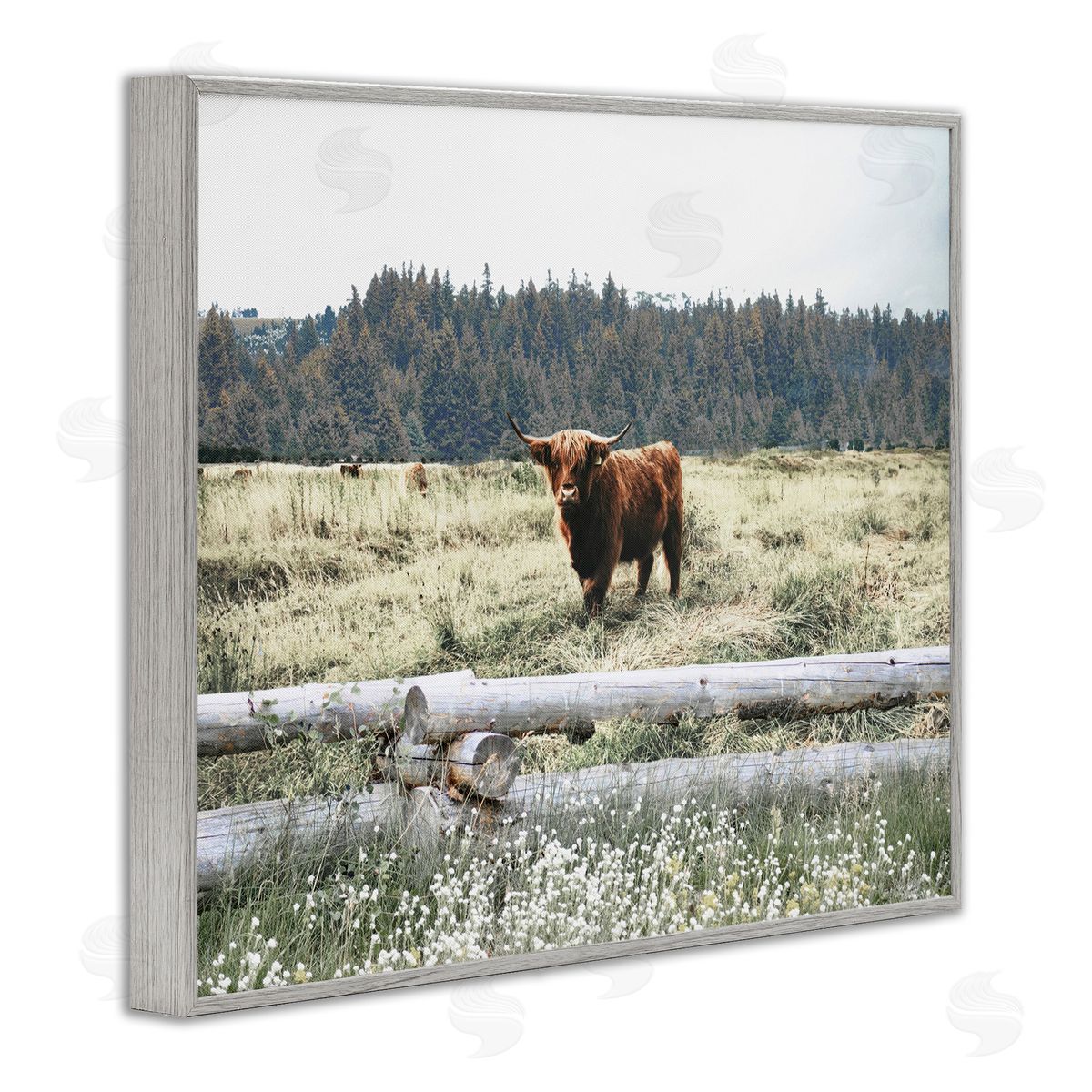 Cattle Overlooking Fence Grey Frame Print Wall Art, Home Decor by Gail Peck