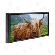 Kali Wilson | Impressionist Highland Cattle