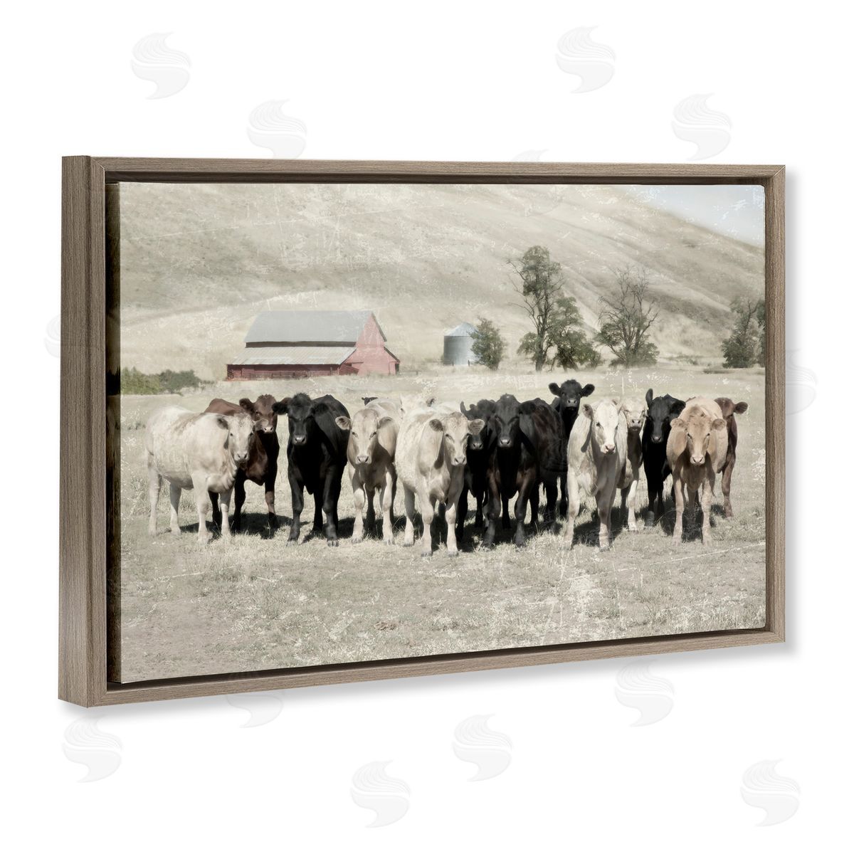 Varied Cattle on Farm Brown Floating Frame Canvas Wall Art, Home Decor by Rhonda Addison