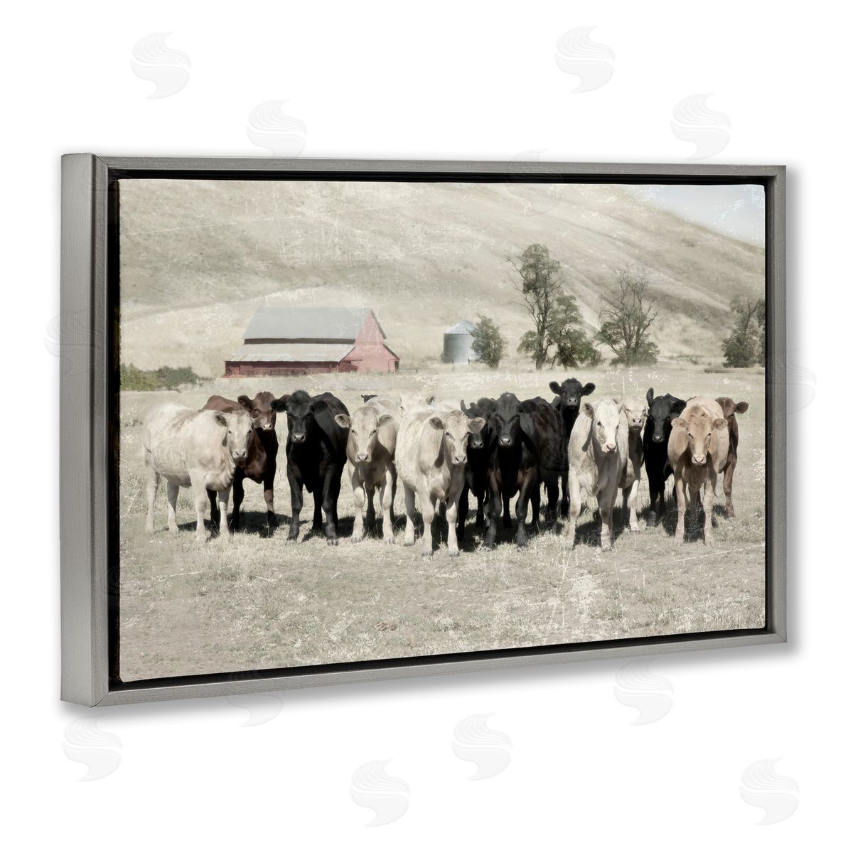 Varied Cattle on Farm Grey Floating Frame Canvas Wall Art, Home Decor by Rhonda Addison