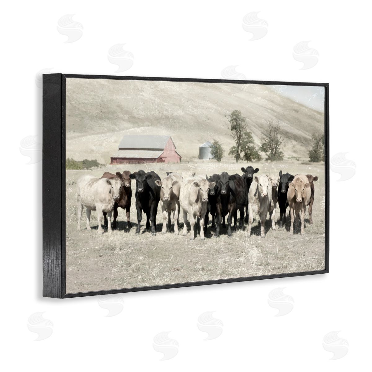 Varied Cattle on Farm Black Frame Print Wall Art, Home Decor by Rhonda Addison