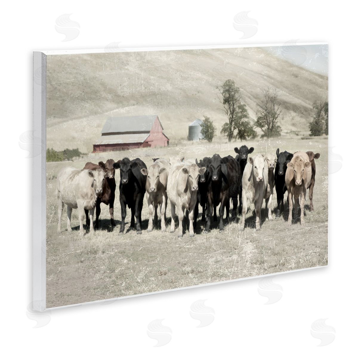 Varied Cattle on Farm Wood Plaque Wall Art, Home Decor by Rhonda Addison