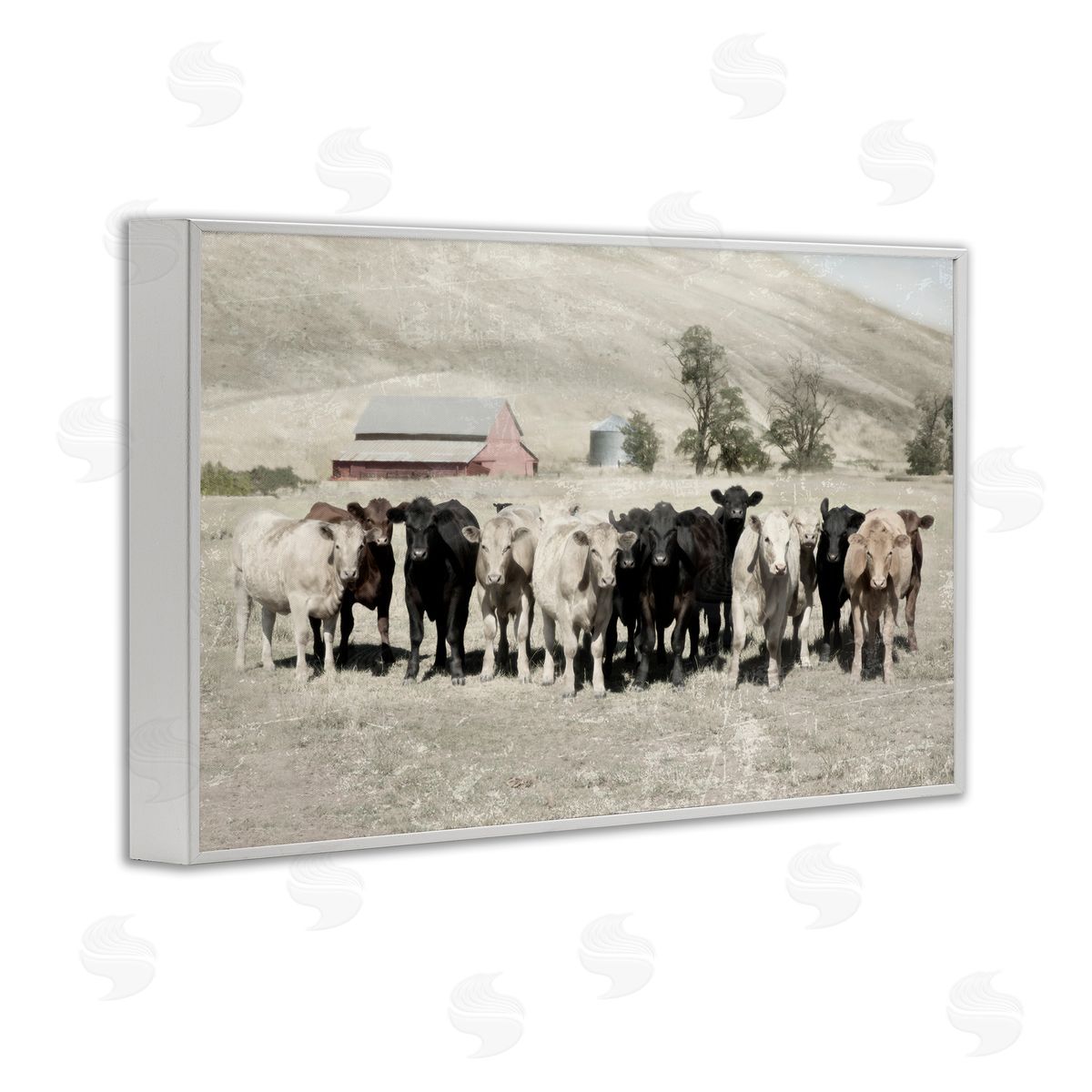 Varied Cattle on Farm White Frame Print Wall Art, Home Decor by Rhonda Addison