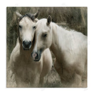 Rhonda Addison | Snuggling Horses on Farm