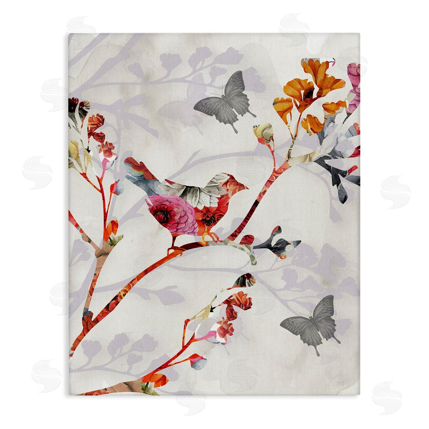 Susan Jill | Birds and Butterflies Nature