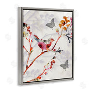 Susan Jill | Birds and Butterflies Nature