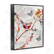 Susan Jill | Birds and Butterflies Nature