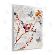 Susan Jill | Birds and Butterflies Nature