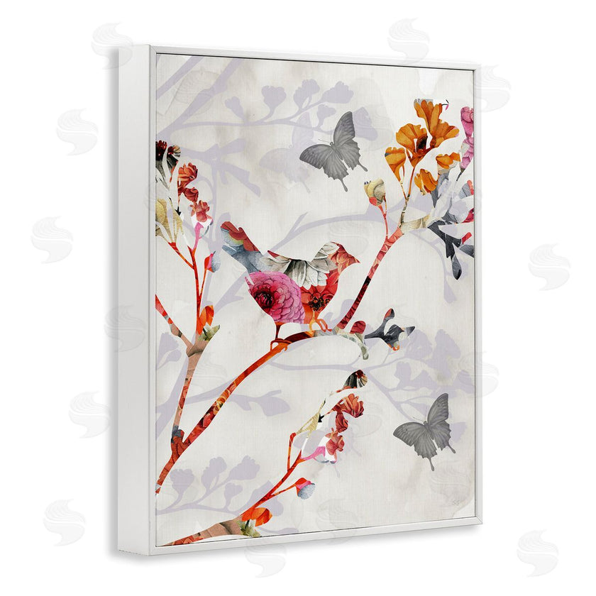 Susan Jill | Birds and Butterflies Nature
