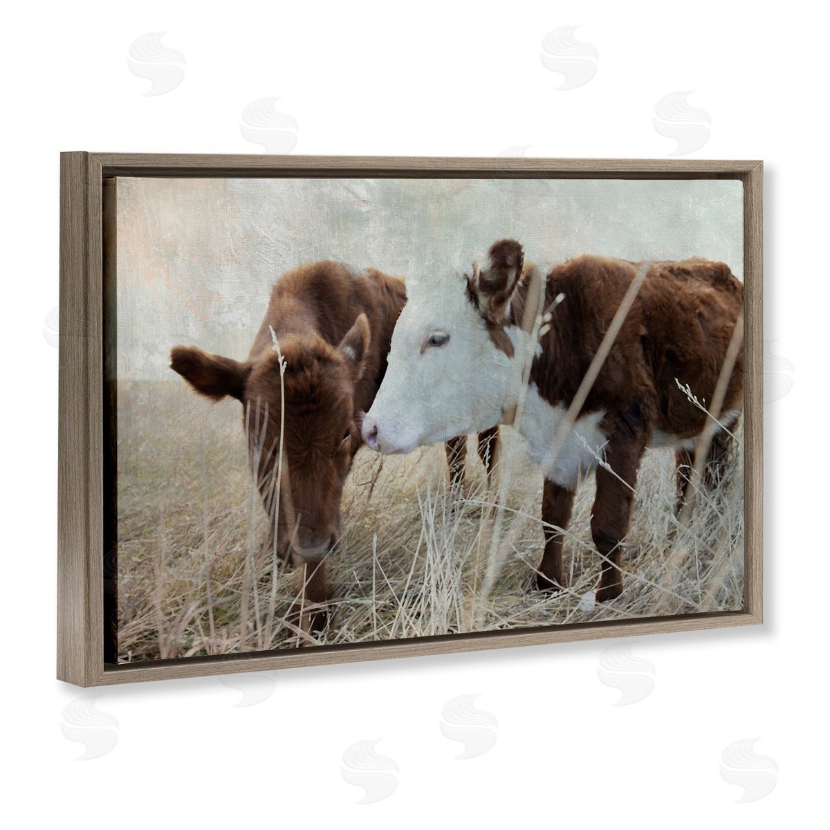 Baby Calf Pair in Grass Brown Floating Frame Canvas Wall Art, Home Decor by Carol Robinson