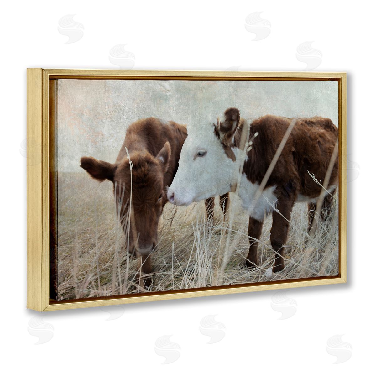Baby Calf Pair in Grass Gold Floating Frame Canvas Wall Art, Home Decor by Carol Robinson