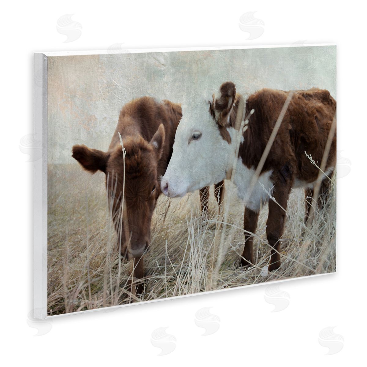 Baby Calf Pair in Grass Wood Plaque Wall Art, Home Decor by Carol Robinson