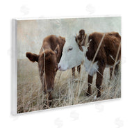 Carol Robinson | Baby Calf Pair in Grass