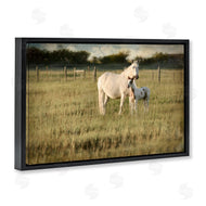 Rhonda Addison | Rural Horse and Foal
