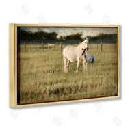 Rhonda Addison | Rural Horse and Foal