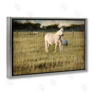 Rhonda Addison | Rural Horse and Foal