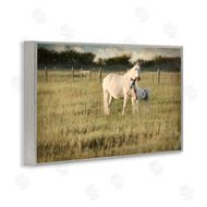 Rhonda Addison | Rural Horse and Foal