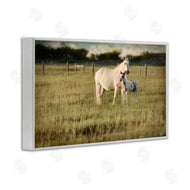 Rhonda Addison | Rural Horse and Foal