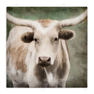 Rhonda Addison | Rustic Longhorn Cattle