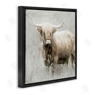 Danita Delimont | Subtle Longhorn Cattle