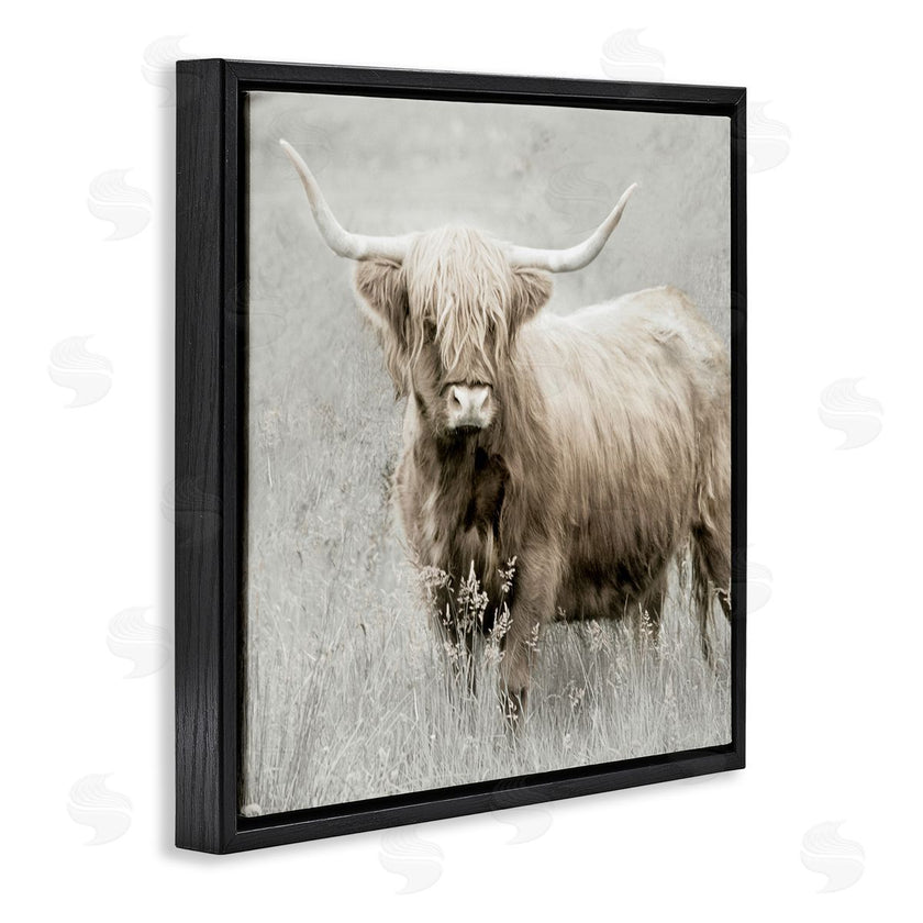Danita Delimont | Subtle Longhorn Cattle