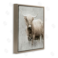 Danita Delimont | Subtle Longhorn Cattle