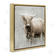 Danita Delimont | Subtle Longhorn Cattle