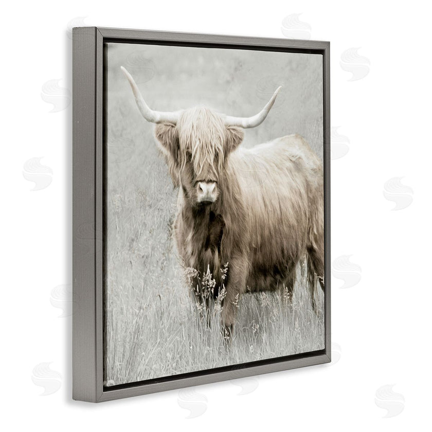 Danita Delimont | Subtle Longhorn Cattle