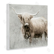 Danita Delimont | Subtle Longhorn Cattle