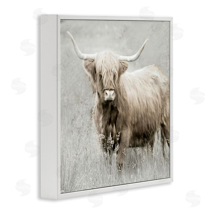 Danita Delimont | Subtle Longhorn Cattle