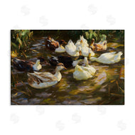 CAD Designs | Ducks in Flowing River