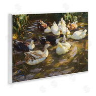 CAD Designs | Ducks in Flowing River