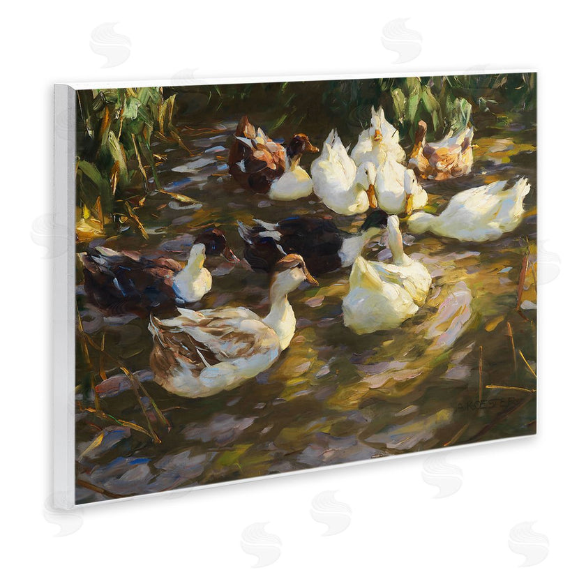 CAD Designs | Ducks in Flowing River