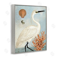 Susan Arnot | Maritime Egret and Coral