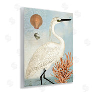 Susan Arnot | Maritime Egret and Coral